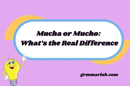 Mucha or Mucho: What’s the Real Difference