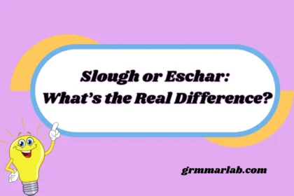 Slough or Eschar: What’s the Real Difference?