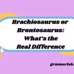 Brachiosaurus or Brontosaurus: What’s the Real Difference
