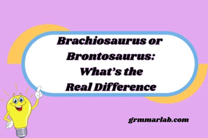 Brachiosaurus or Brontosaurus: What’s the Real Difference