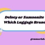 Delsey or Samsonite Which Luggage Brand