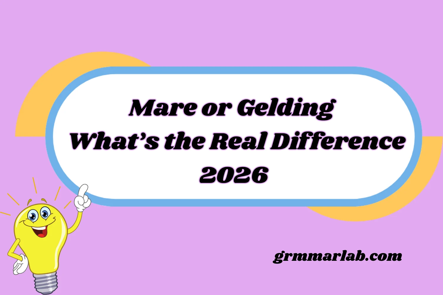 Mare or Gelding