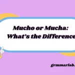 Mucho or Mucha: What’s the Difference