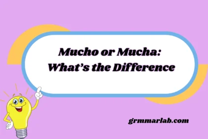 Mucho or Mucha: What’s the Difference