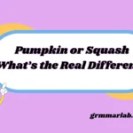 Pumpkin or Squash