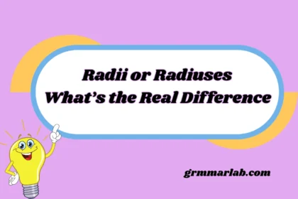 Radii or Radiuses