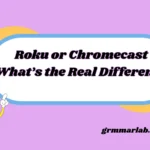 Roku or Chromecast