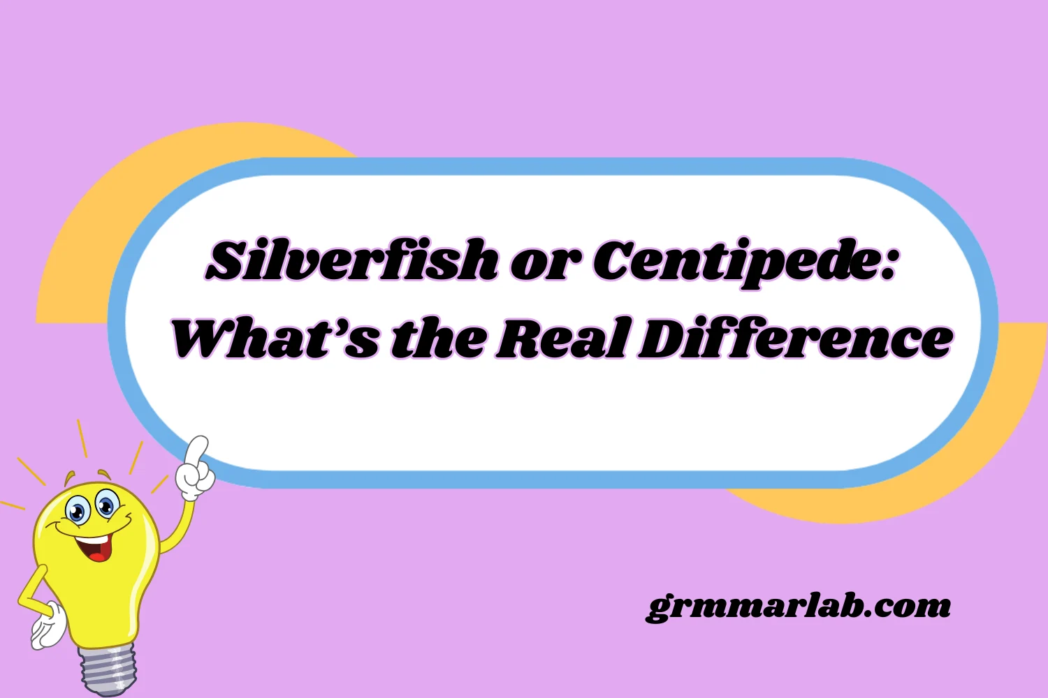 Silverfish or Centipede: What’s the Real Difference