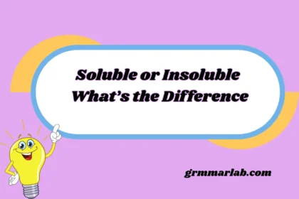 Soluble or Insoluble What’s the Difference