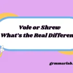 Vole or Shrew What’s the Real Difference