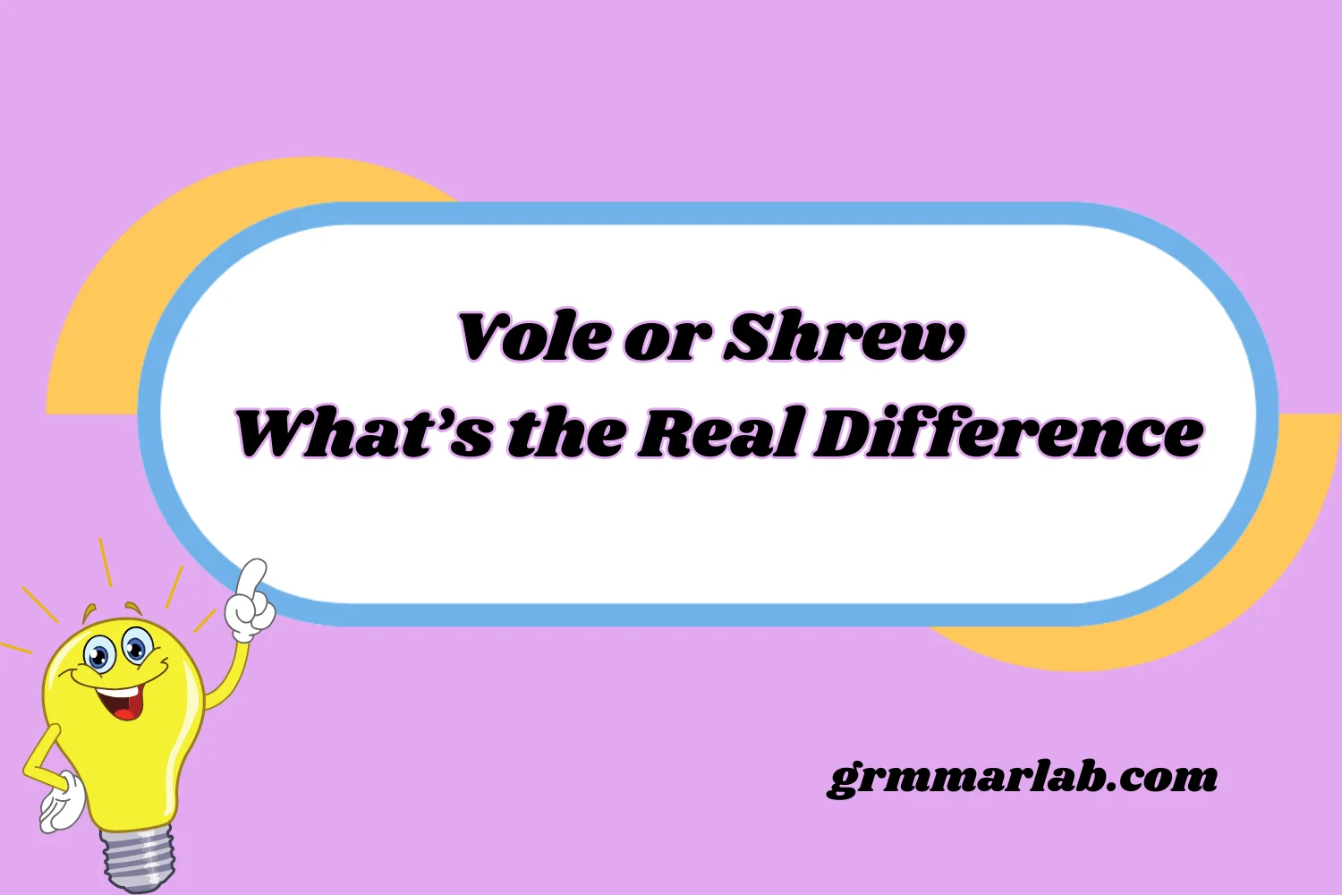 Vole or Shrew What’s the Real Difference
