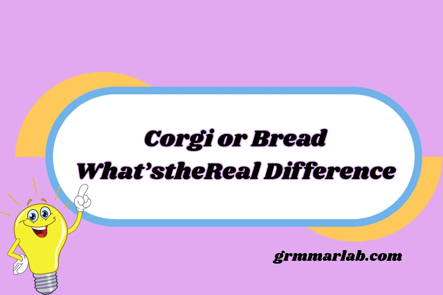 Corgi or Bread