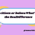 citizen or bulova