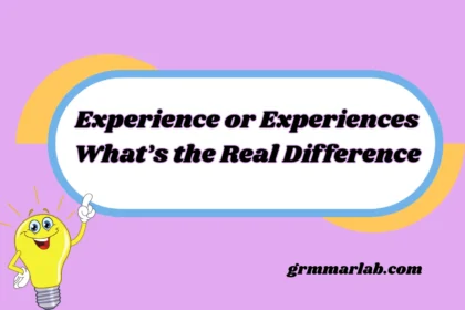 Experience or Experiences