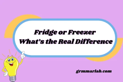 Fridge or Freezer