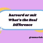 harvard or mit