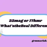 22mag or 17hmr
