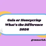 Gala or Honeycrisp