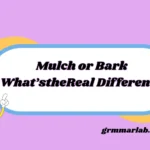 Mulch or Bark