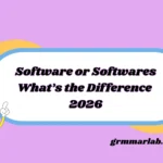 Software or Softwares