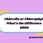 Chlorella or Chlorophyll