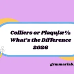 Colliers or Plaquļæ½