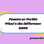 Pumice or Perlite