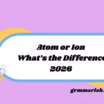 Atom or Ion