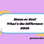 Bison or Beef