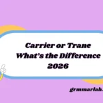 Carrier or Trane