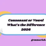 Consonant or Vowel