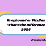 Greyhound or FlixBus