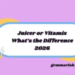 Juicer or Vitamix