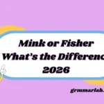 Mink or Fisher