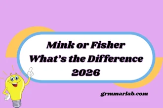 Mink or Fisher