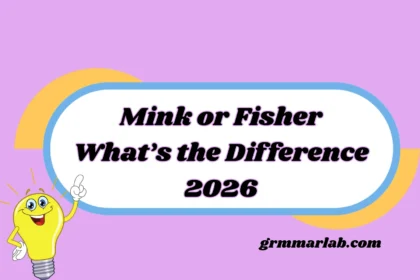 Mink or Fisher