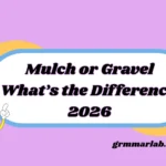 mulch or gravel
