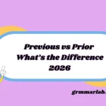 Previous vs Prior