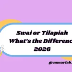 Swai or Tilapiah