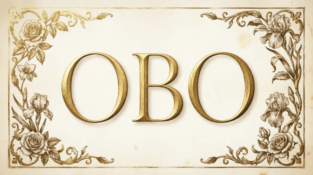 What Does OBO Mean