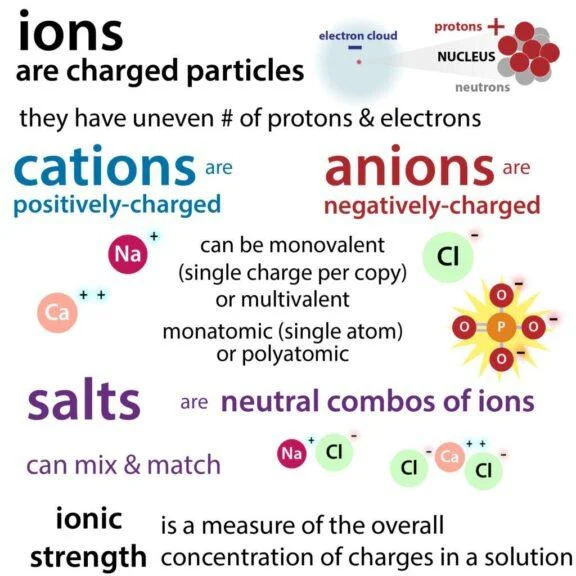 What Does Ion Mean Text Meaning in Text