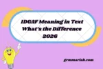 IDGAF Meaning in Text