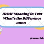 IDGAF Meaning in Text