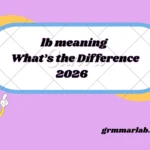 lb meaning