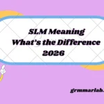 SLM Meaning