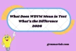 What Does WDYM Mean in Text