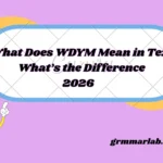 What Does WDYM Mean in Text