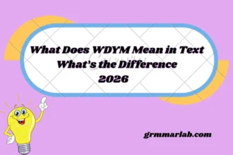 What Does WDYM Mean in Text
