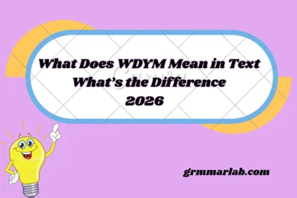 What Does WDYM Mean in Text