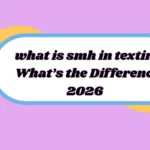 what is smh in texting